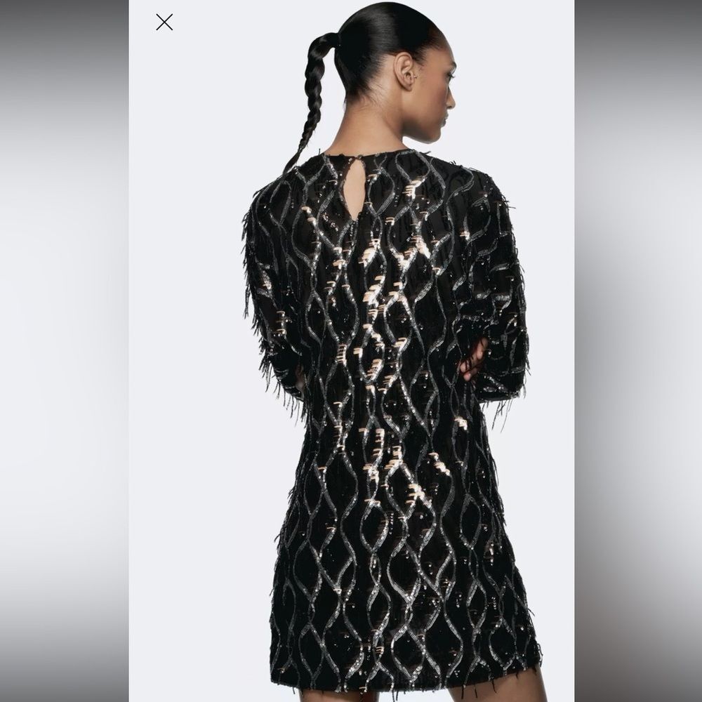 ZARA MINI DRESS WITH FRINGING AND SEQUINS - Picture 15 of 16